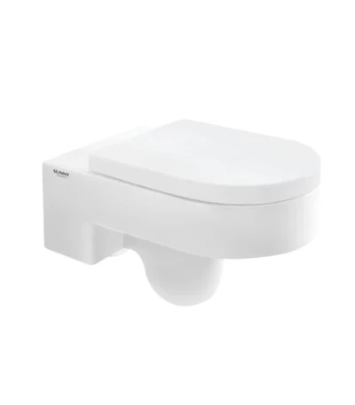 Wall Hang Toilet