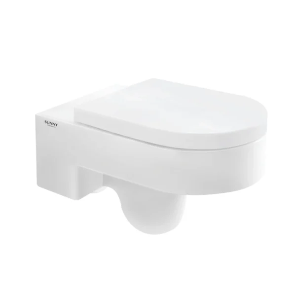 Wall Hang Toilet