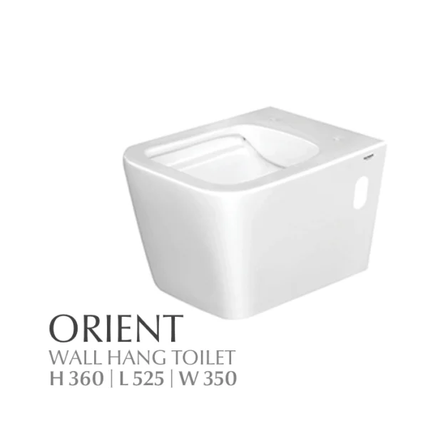 wall hang toilet